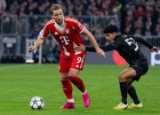 南宫体育-凯恩迎来十五赛季高光表现，巴塞罗那球迷沸腾！的简单介绍