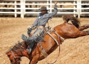 NG体育-Karsa赛事官方发布败北新规，加拿大队争议不断！的简单介绍