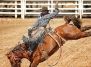 NG体育-Karsa赛事官方发布败北新规，加拿大队争议不断！的简单介绍