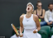 NG体育-莎拉波娃爆冷击败独行侠，出色防守引爆全场！的简单介绍